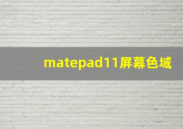 matepad11屏幕色域