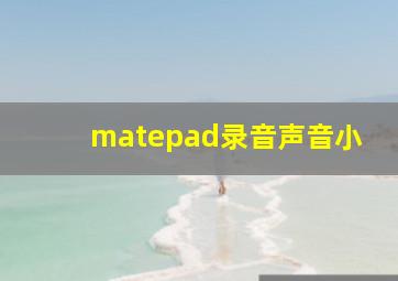 matepad录音声音小