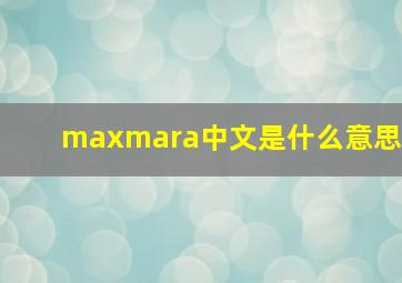 maxmara中文是什么意思