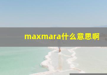 maxmara什么意思啊