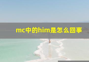 mc中的him是怎么回事