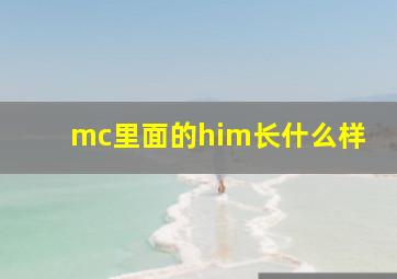 mc里面的him长什么样