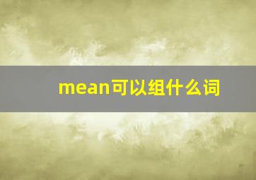 mean可以组什么词