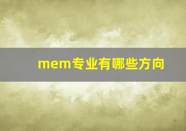 mem专业有哪些方向