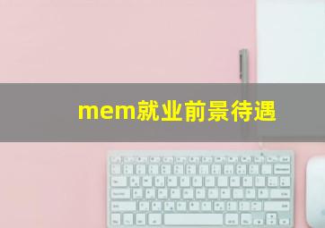 mem就业前景待遇