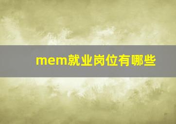 mem就业岗位有哪些