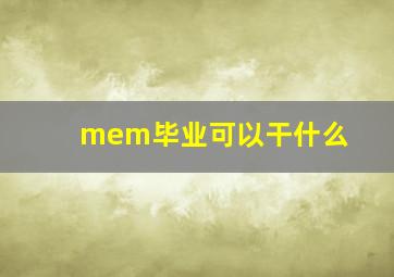 mem毕业可以干什么