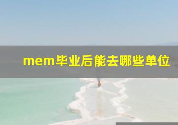 mem毕业后能去哪些单位