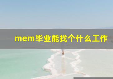 mem毕业能找个什么工作