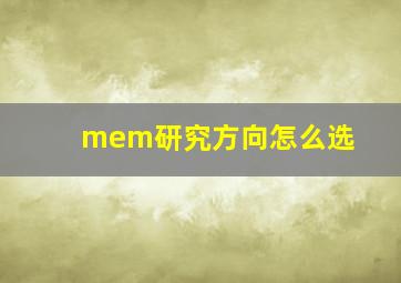 mem研究方向怎么选