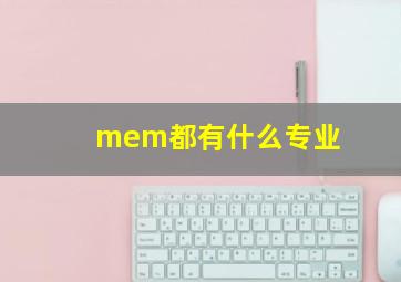 mem都有什么专业