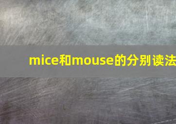 mice和mouse的分别读法