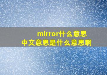 mirror什么意思中文意思是什么意思啊