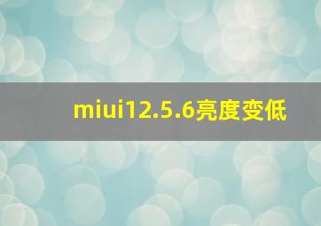 miui12.5.6亮度变低