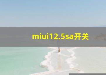 miui12.5sa开关