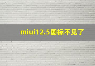 miui12.5图标不见了