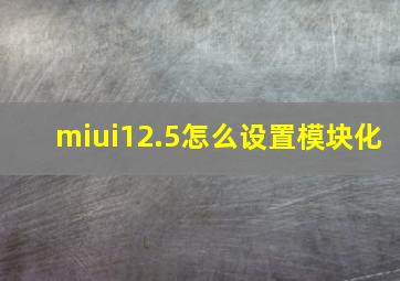 miui12.5怎么设置模块化