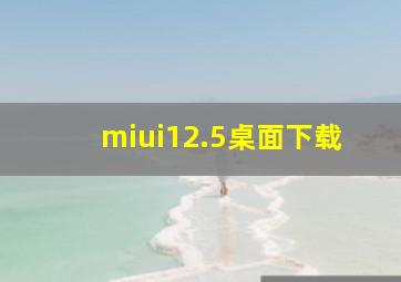 miui12.5桌面下载