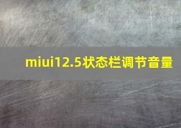 miui12.5状态栏调节音量