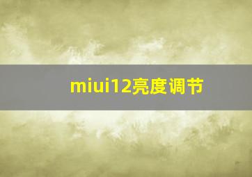 miui12亮度调节