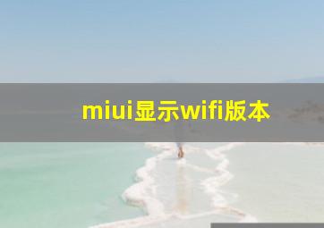 miui显示wifi版本