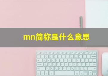 mn简称是什么意思