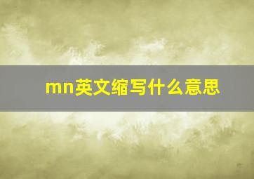 mn英文缩写什么意思