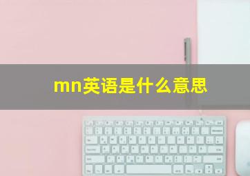 mn英语是什么意思