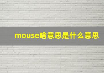 mouse啥意思是什么意思