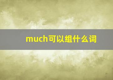 much可以组什么词