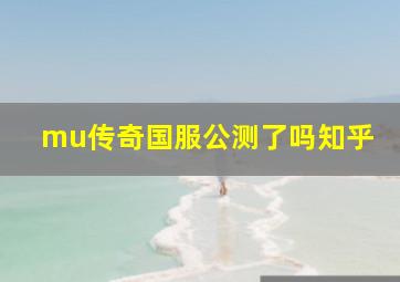 mu传奇国服公测了吗知乎