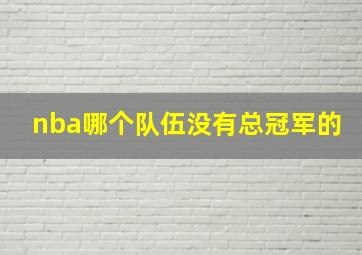 nba哪个队伍没有总冠军的