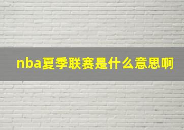 nba夏季联赛是什么意思啊