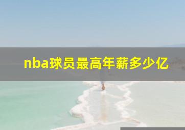 nba球员最高年薪多少亿