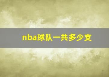 nba球队一共多少支