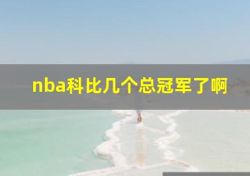 nba科比几个总冠军了啊