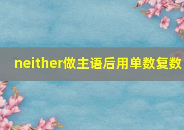 neither做主语后用单数复数