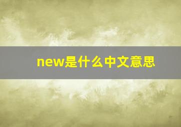 new是什么中文意思