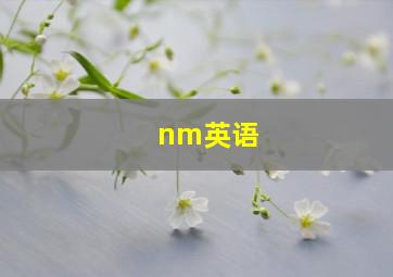 nm英语