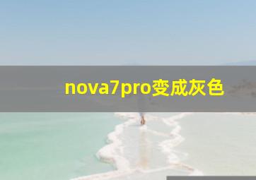 nova7pro变成灰色