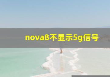 nova8不显示5g信号