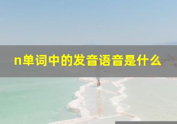 n单词中的发音语音是什么