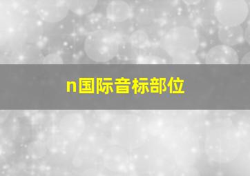 n国际音标部位