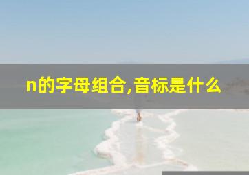 n的字母组合,音标是什么