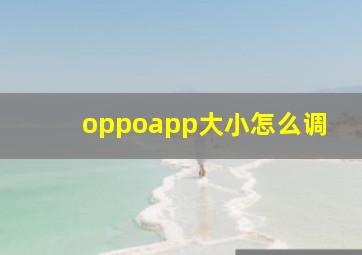 oppoapp大小怎么调