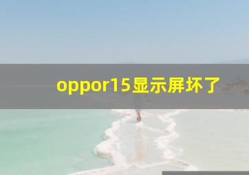 oppor15显示屏坏了