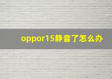 oppor15静音了怎么办