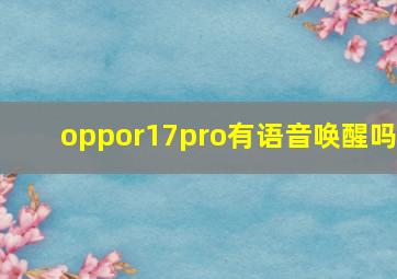 oppor17pro有语音唤醒吗