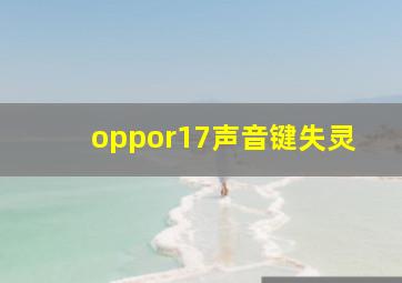 oppor17声音键失灵