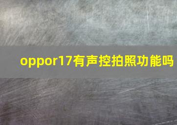 oppor17有声控拍照功能吗